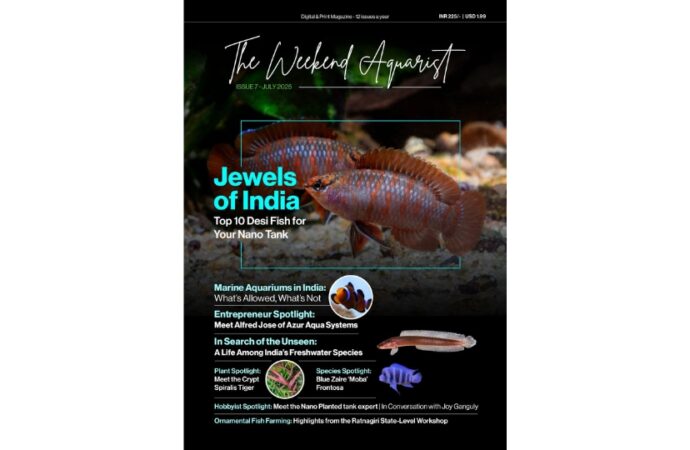 The Weekend Aquarist Releases Its 7th Issue — Available on Magzter and in Print Across India