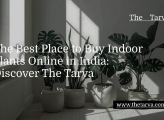 The Best Place to Buy Indoor Plants Online in India: Discover The Tarva