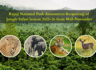 Rajaji National Park Announces Reopening of Jungle Safari Season from Mid-November