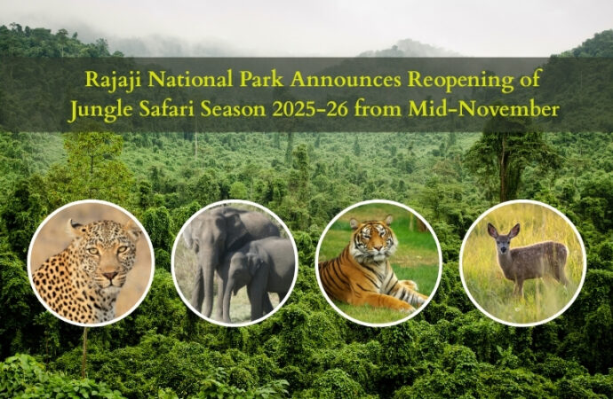 Rajaji National Park Announces Reopening of Jungle Safari Season from Mid-November