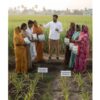 Biofactor Biologicals Launches “BIOLMIN Kit” — India’s First Integrated Soil-to-Yield Biological Nutrition Programme