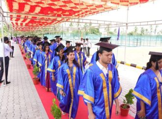 Inside Sai University’s Attempt to Close the Gap Between the Classroom and the Boardroom